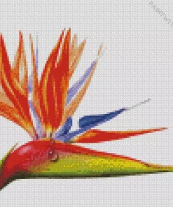 Bird Of Paradise Art Diamond Painting