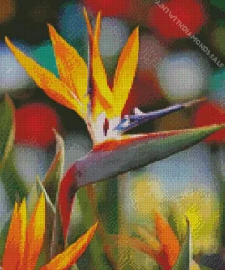 Bird Of Paradise In Sunlight Diamond Painting