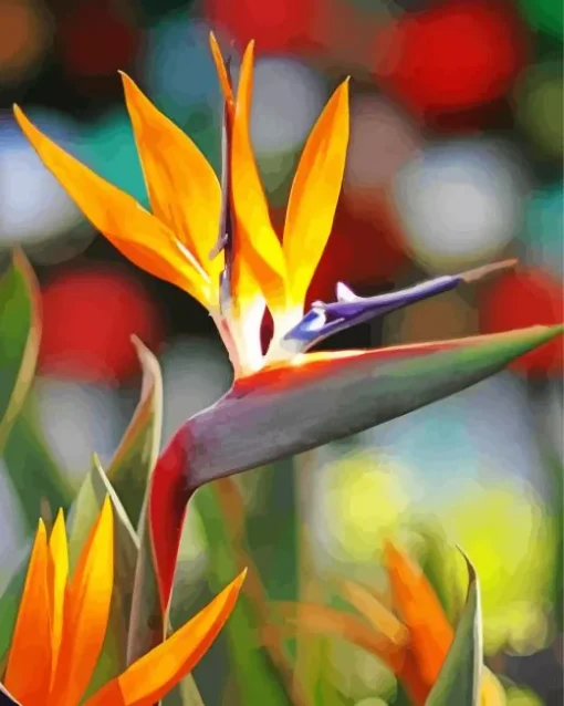 Bird Of Paradise In Sunlight Diamond Painting