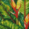 Bird Of Paradise Large Leaves Diamond Painting