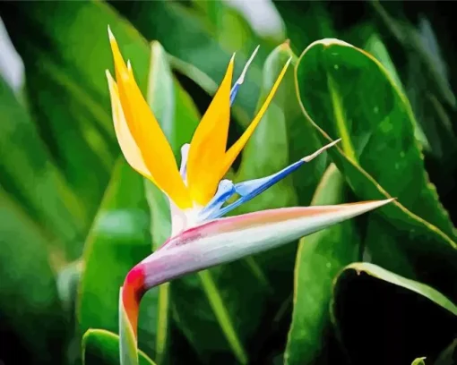 Bird Of Paradise Plant Diamond Painting