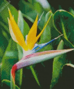 Bird Of Paradise Plant Diamond Painting