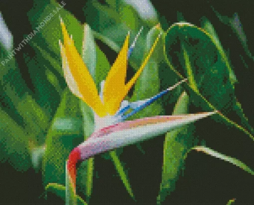 Bird Of Paradise Plant Diamond Painting