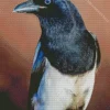 Black Billed Magpie Bird Diamond Painting