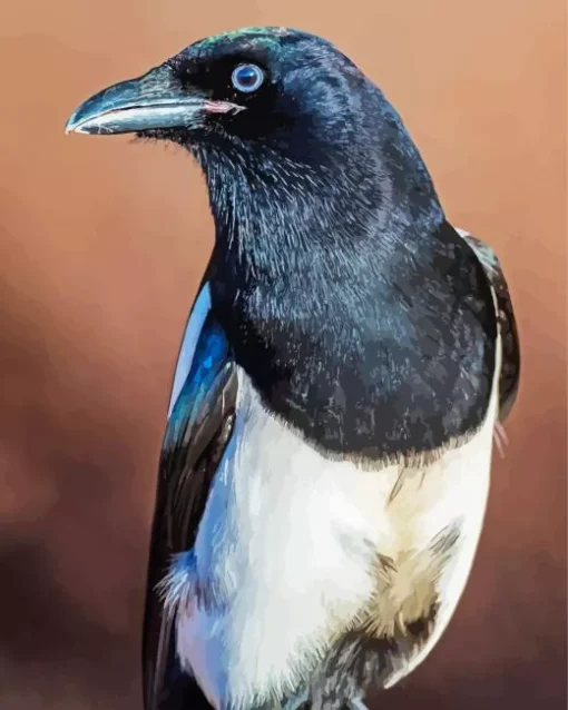 Black Billed Magpie Bird Diamond Painting