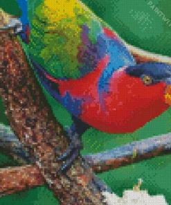 Black Capped Lory Diamond Painting