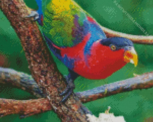 Black Capped Lory Diamond Painting