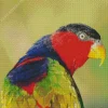 Black Capped Lory Bird Diamond Painting