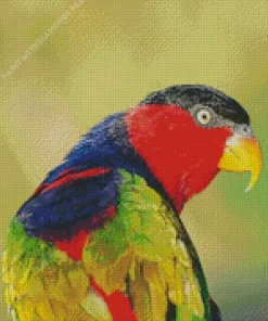 Black Capped Lory Bird Diamond Painting