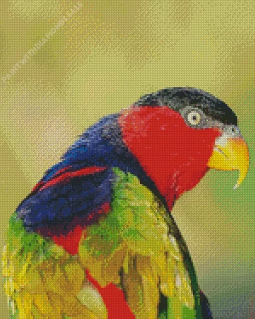 Black Capped Lory Bird Diamond Painting