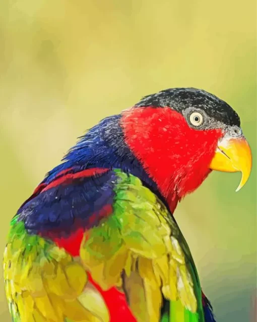 Black Capped Lory Bird Diamond Painting