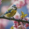 Blue Tit And Blossoms Diamond Painting