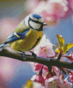 Blue Tit And Blossoms Diamond Painting