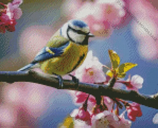 Blue Tit And Blossoms Diamond Painting