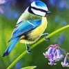 Blue Tit And Purple Flower Diamond Painting