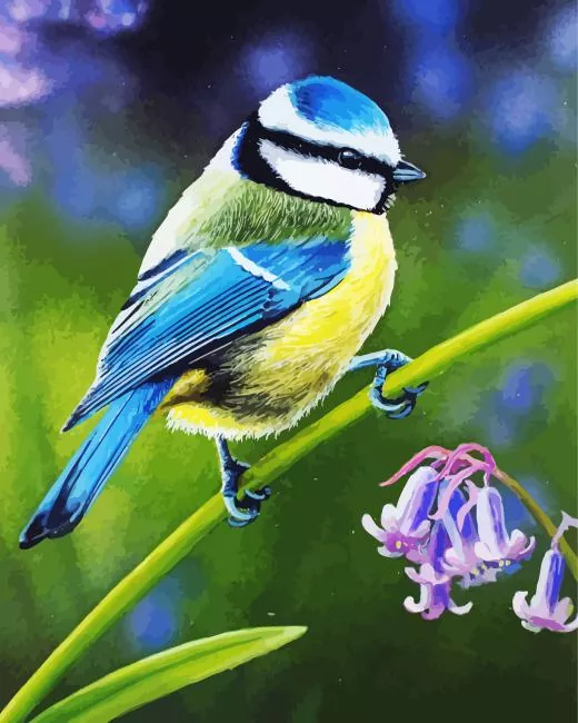 Blue Tit and purple flower Diamond By Numbers Blue Tit And Purple Flower Diamond Painting