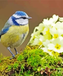 Blue Tit And Yellow Flowers Diamond Painting