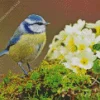 Blue Tit And Yellow Flowers Diamond Painting