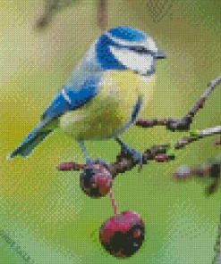 Blue Tit Bird On A Branch Diamond Painting