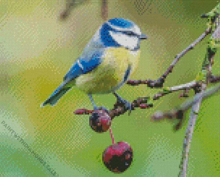 Blue Tit bird on a branch Diamond Dotz Blue Tit Bird On A Branch Diamond Painting