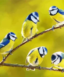 Blue Tit Birds Diamond Painting