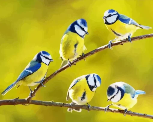 Blue Tit Birds Diamond Painting