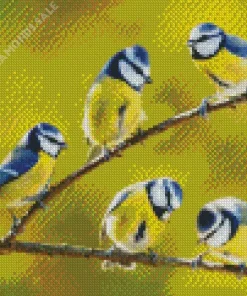 Blue Tit Birds Diamond Painting