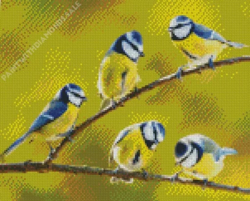 Blue Tit Birds Diamond Painting