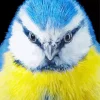 Blue Tit head Diamond Painting