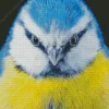 Blue Tit head Diamond Painting