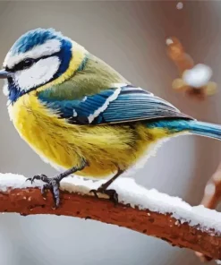 Blue Tit In Snow Diamond Painting