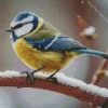 Blue Tit In Snow Diamond Painting
