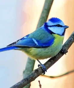 Blue Tit On A Branch Diamond Painting