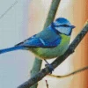 Blue Tit On A Branch Diamond Painting
