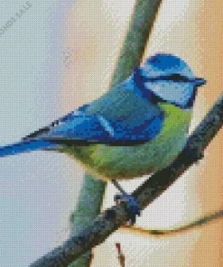 Blue Tit On A Branch Diamond Painting