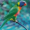 Blue Fronted Lorikeet Bird Diamond Painting