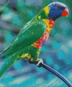 Blue Fronted Lorikeet Bird Diamond Painting