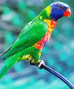 Blue Fronted Lorikeet Bird Diamond Painting