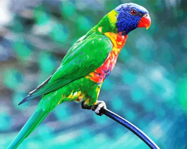 Blue fronted lorikeet bird Diamond With Numbers Blue Fronted Lorikeet Bird Diamond Painting