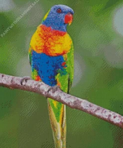 Blue Fronted Lorikeet Diamond Painting