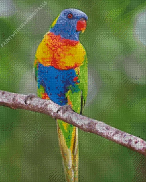 Blue Fronted Lorikeet Diamond Painting