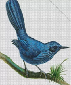 Blue Mockingbird Art Diamond Painting