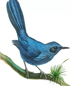 Blue Mockingbird Art Diamond Painting