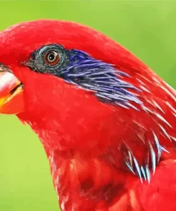 Blue Streaked Lory Diamond Painting