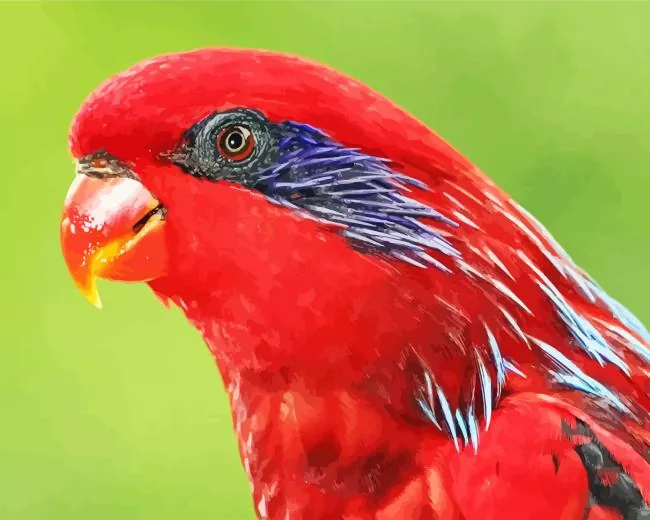 Blue streaked lory Diamond With Numbers Blue Streaked Lory Diamond Painting