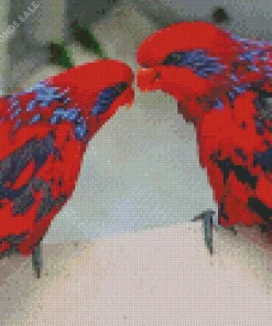 Blue Streaked Lory Birds Diamond Painting