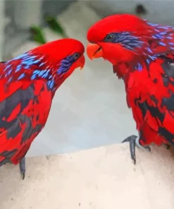 Blue Streaked Lory Birds Diamond Painting