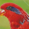 Blue Streaked Lory Diamond Painting
