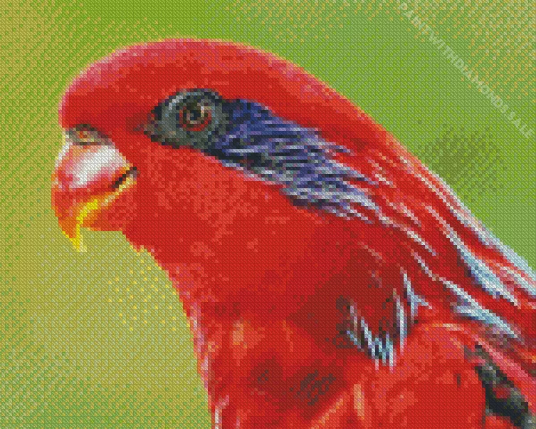 Blue streaked lory4 Diamond Dotz Blue Streaked Lory Diamond Painting