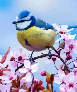 Blue Tit And Blossom Diamond Painting